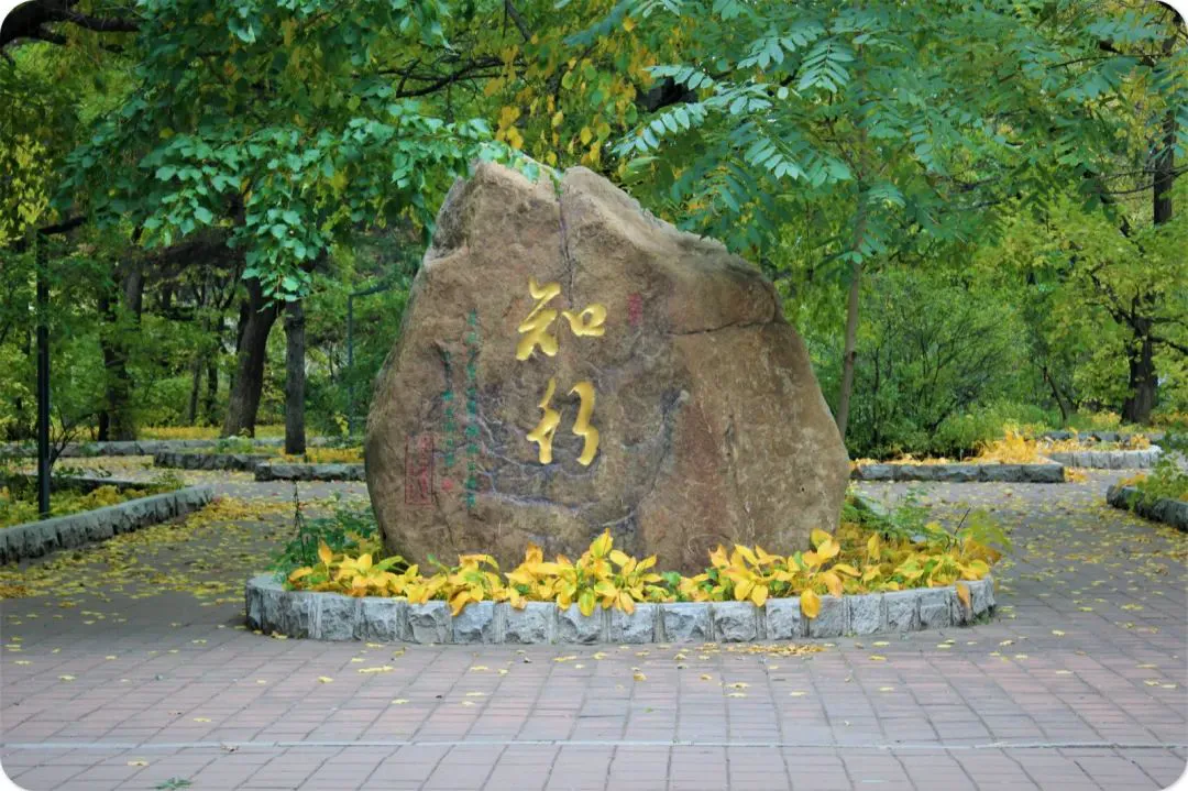 哪里可以学习到提升篮球心态的方法_2